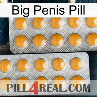 Big Penis Pill levitra2